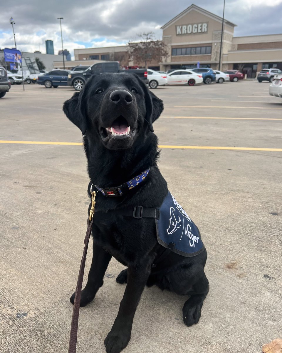 Blitz the Texans Pup tweet media