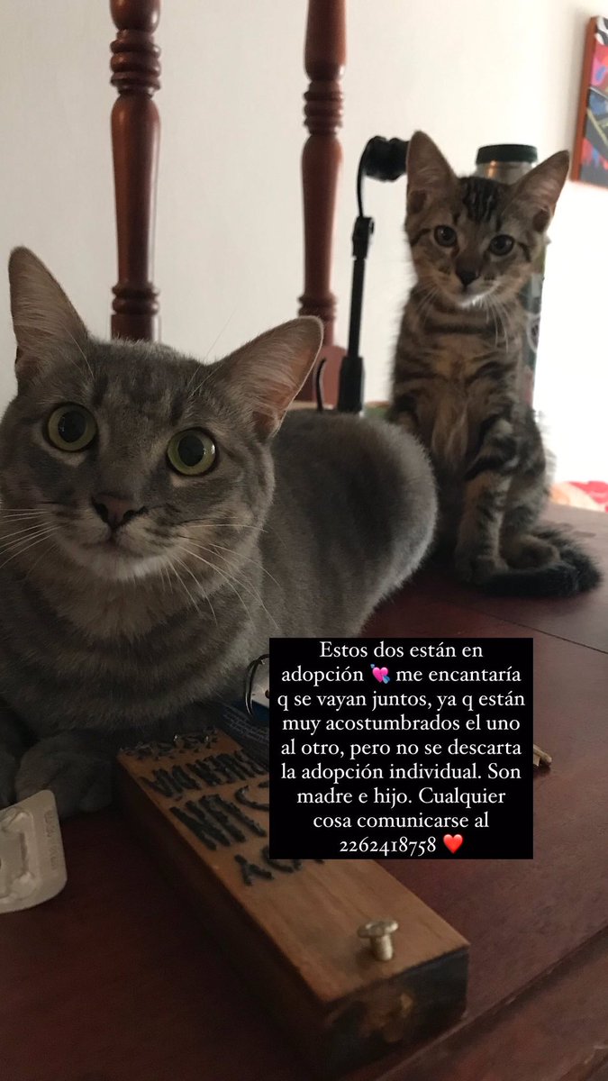 conlatanitano's tweet photo. Gente de Necochea (ciudad del rap) me ayudan a compartir? 💘 https://t.co/Xn9d96LjbS