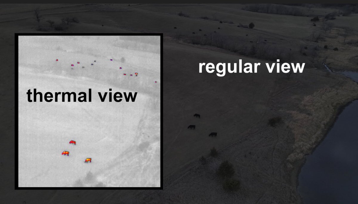 Whether you’ve started or are about to start the calving season, the Mavic 3 Thermal drone is here to save you time… and sleep! 
In minutes, check the cows, whether in the lot or hiding in the timber. 
#terraplexag #calvingseason #thermal #imaginethepossibilities