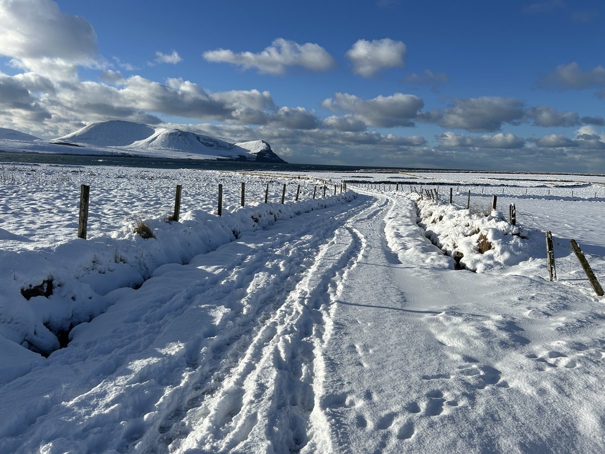 Snow day today❄️⛄️ #Orkney