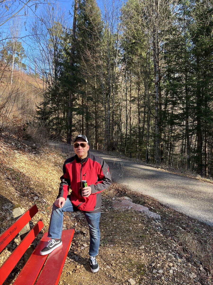 Rừng Thụy sĩ 🇨🇭🇨🇭🇨🇭🇨🇭