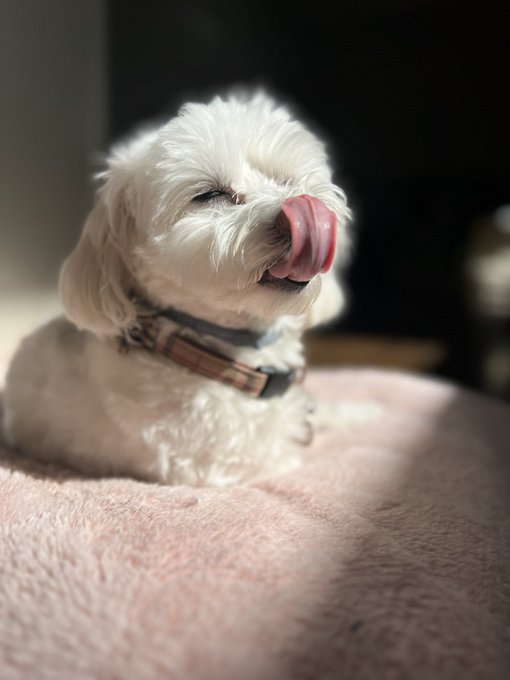Theo is So sensual lol https://t.co/9IQZf3KrgJ<a href="/tag/chicago"class="tags"><span>#chicago</span></a>