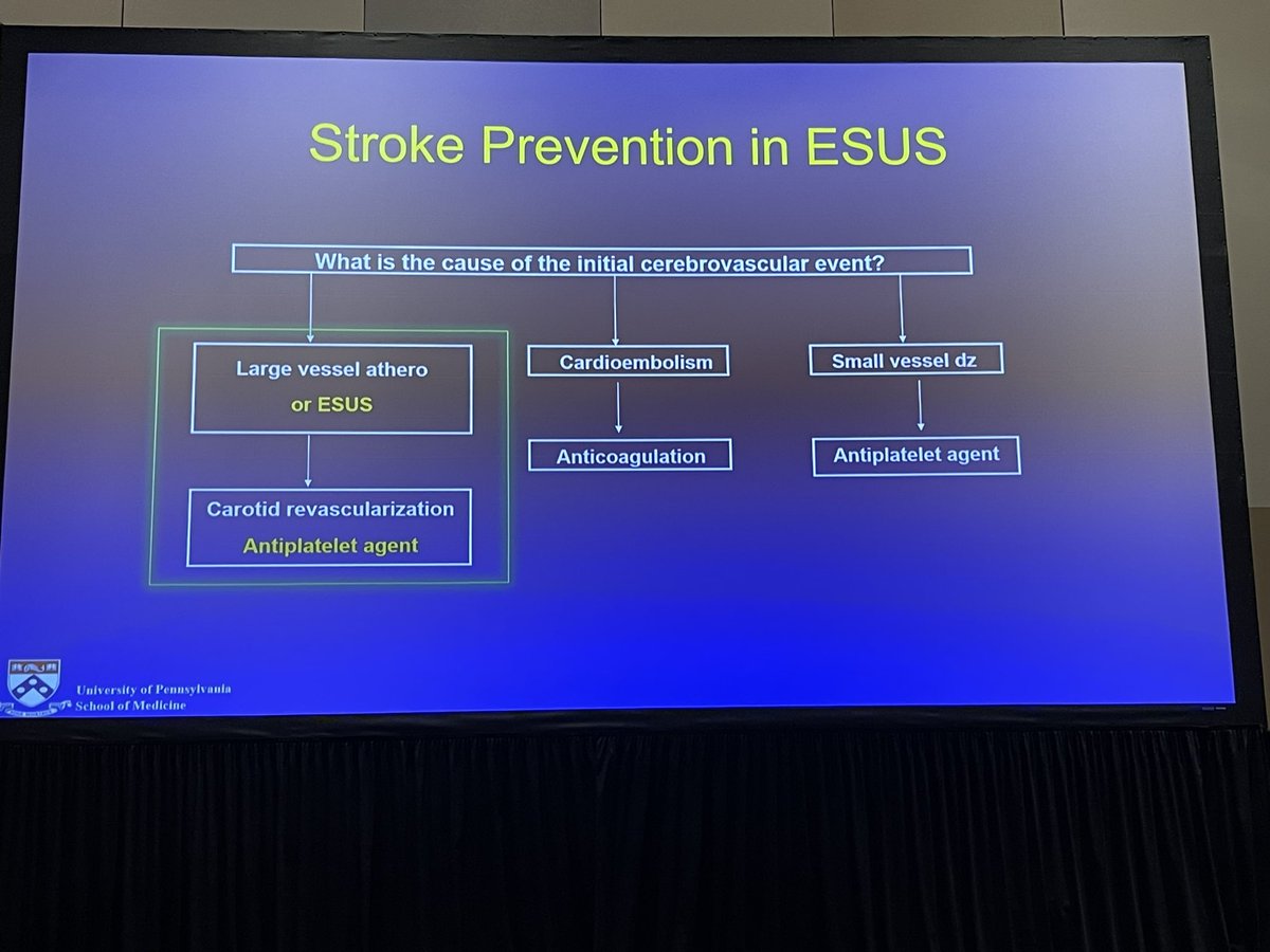 sleiman_jamal's tweet photo. Should Antiplatelet monotherapy be the Standard care for ESUS? Or are there more tailored approach? What about the risks of bleeding with anticoagulation and DAPT? Innovative debates #ISC24 @JayDoliaMD @StrokeAHA_ASA @AANmember @ShadiYaghi2 @niravbhatt1234 @LiqiShu @DiogoHaussen https://t.co/o9PfH8CeSW