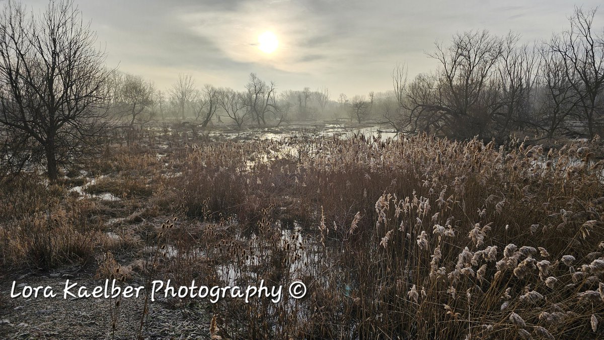 Whispers of beauty❤️🦋

#wiwx #PleasantPrairieWI 
<a href="/VisitPlPrairie/">Visit Pleasant Prairie</a>