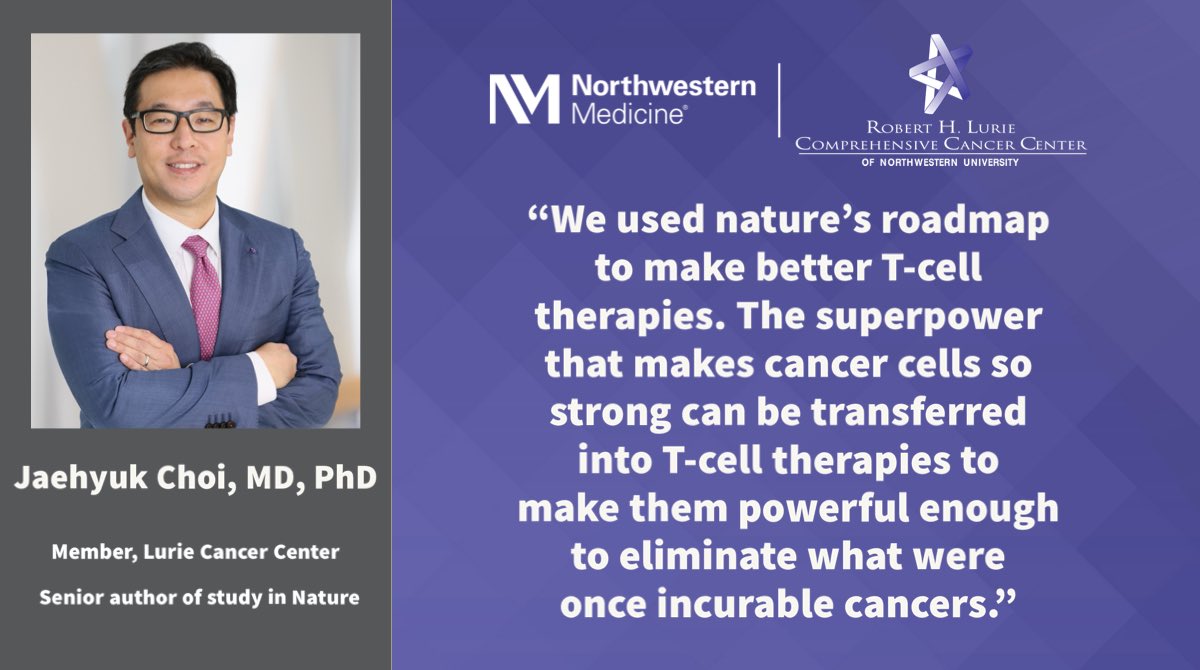 Lurie Cancer Center (@luriecancer) on Twitter photo A new technique developed by Lurie Cancer Center scientists at <a href="/NUFeinbergMed/">Northwestern Feinberg School of Medicine</a> and collaborators at <a href="/UCSF/">UC San Francisco</a> made human T-cells 100 times more potent at killing cancer cells without signs of becoming toxic. Read about this breakthrough, published in <a href="/Nature/">nature</a>. news.feinberg.northwestern.edu/2024/02/07/usi… A new technique developed by Lurie Cancer Center scientists at <a href="/NUFeinbergMed/">Northwestern Feinberg School of Medicine</a> and collaborators at <a href="/UCSF/">UC San Francisco</a> made human T-cells 100 times more potent at killing cancer cells without signs of becoming toxic. Read about this breakthrough, published in <a href="/Nature/">nature</a>. news.feinberg.northwestern.edu/2024/02/07/usi…