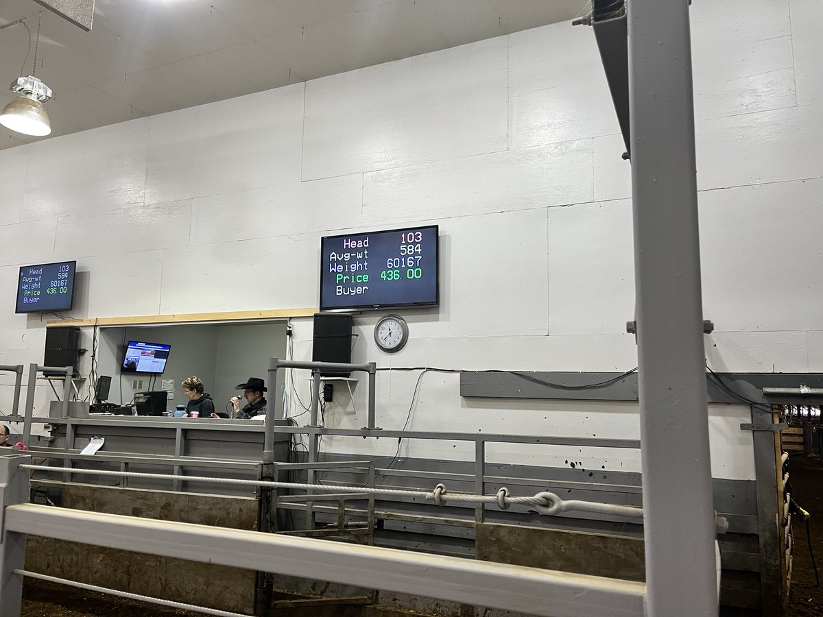 It’s smoking today 103 steers 584@4.36=$2546