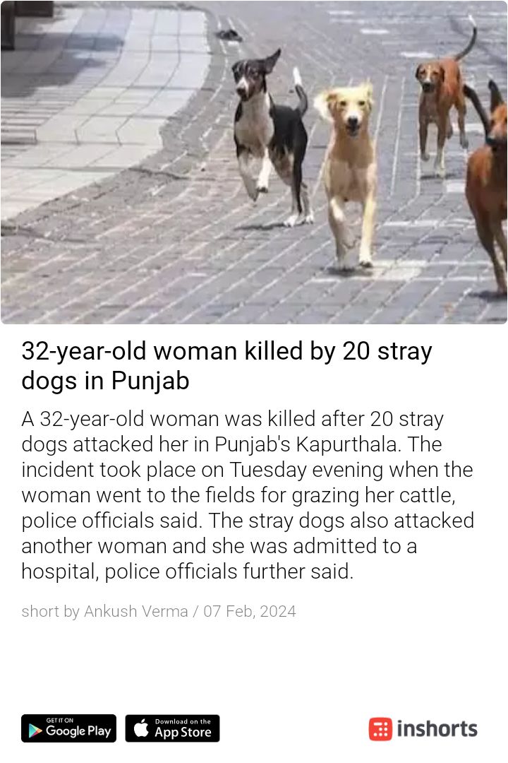 कब तक when will it stop No shame on #straydogs lovers @TimesNow @IndiaToday shrts.in/mXmFC