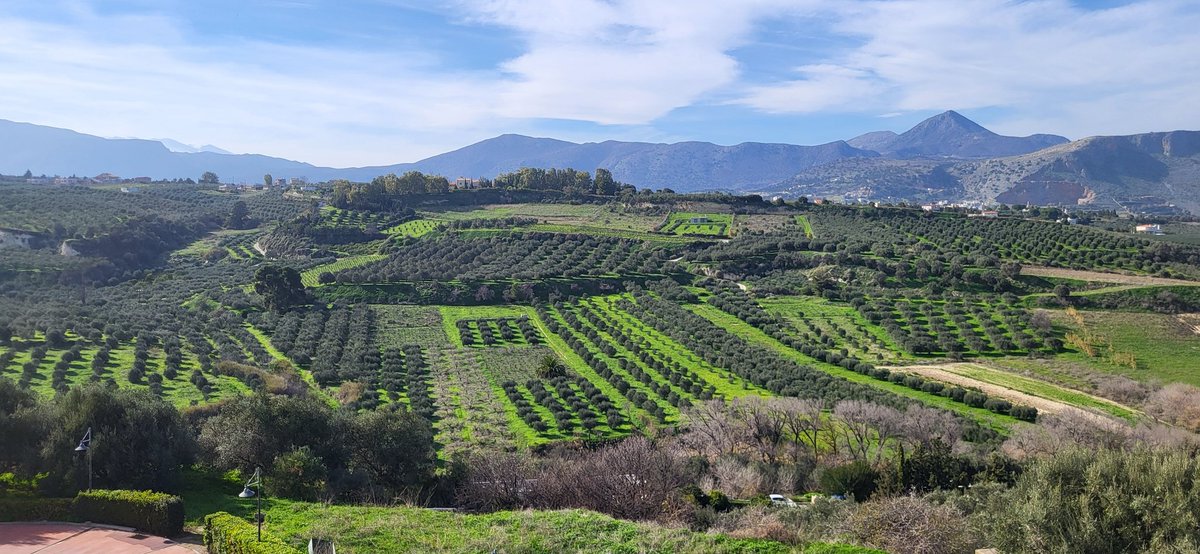 ludgate_robert's tweet photo. The #10daysofINGENIUM Winter School continued today with a visit to Forth Cert research centre in the hills above Heraklion #INGENIUM #EuropeanUniversity #HigherEducation #INGENIUMIreland #Sustainability #Bioeconomy https://t.co/0319g20Srb