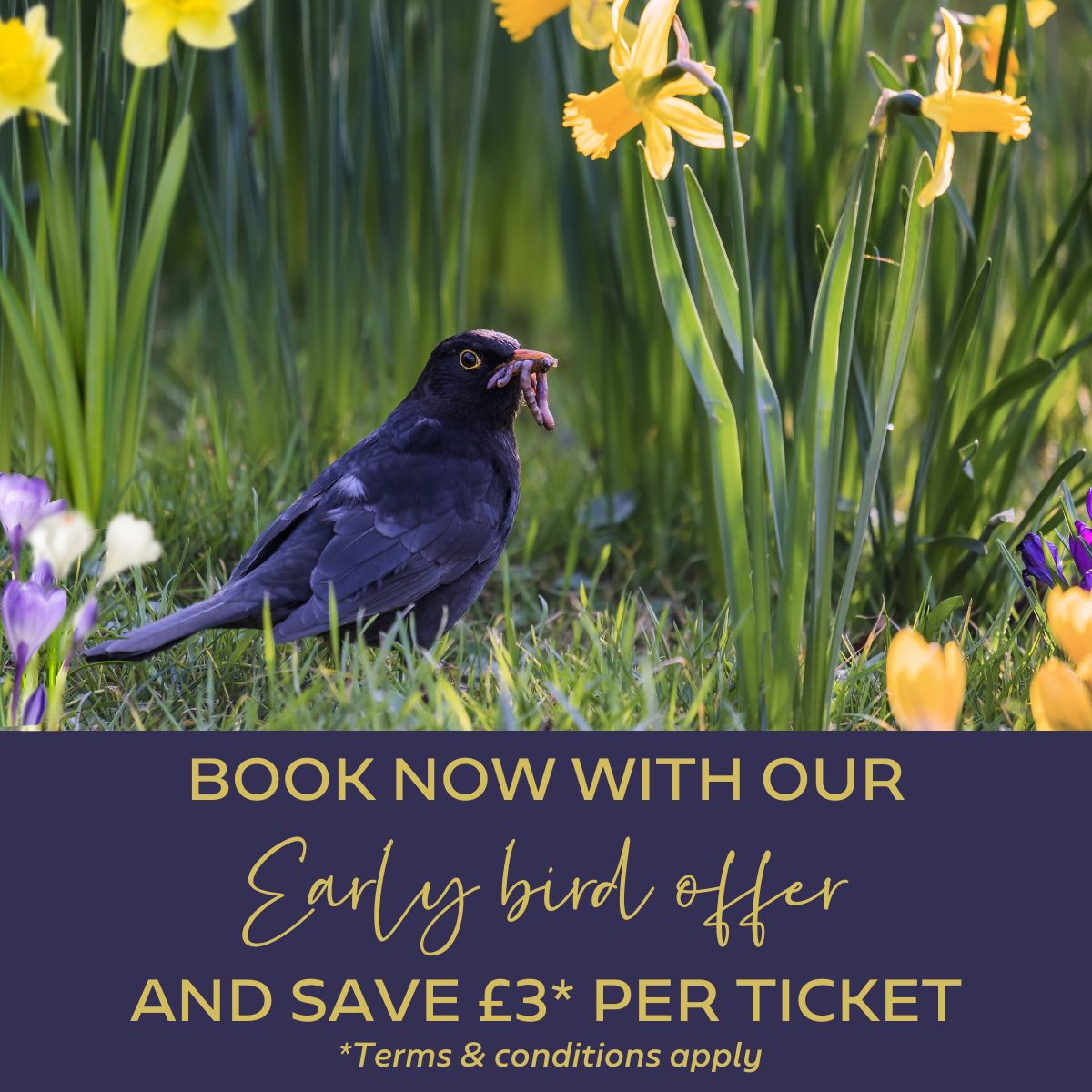 The Harrogate Spring Flower Show is just around the corner, so don't let the opportunity to book with our 'Early Bird' ticket offer fly away.

Buy your tickets online now and save £3* per adult at bit.ly/3MkMAwt

25-28 April 2024 | Great Yorkshire Showground
*T&amp;Cs apply