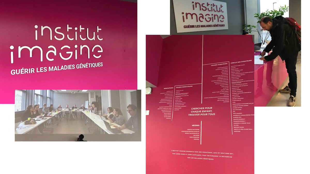 Institut imaGine in January host of the CorEuStem meeting