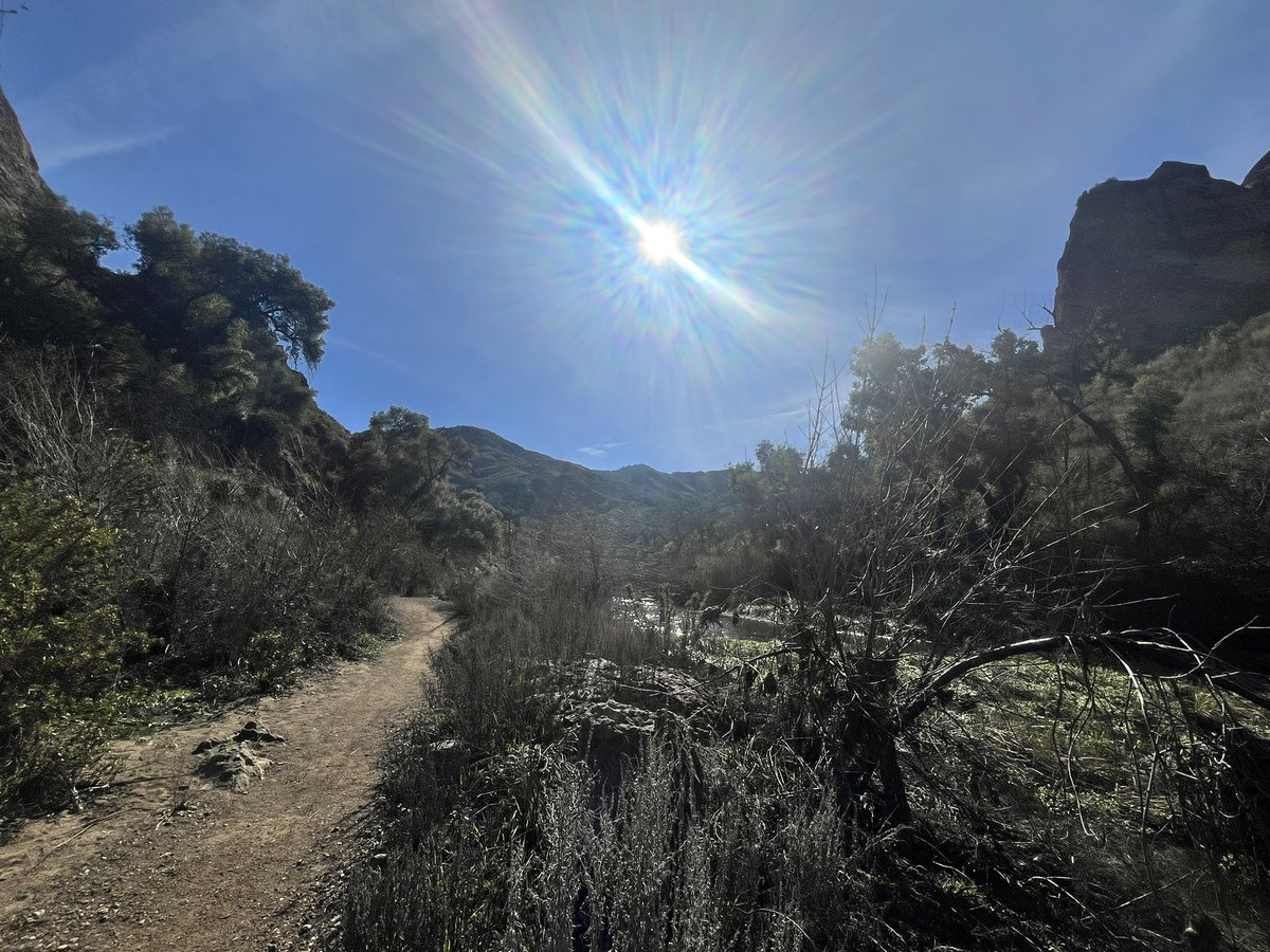 gingerjessss's tweet photo. loving my hikes &amp; runs 🌤️💛🪵 https://t.co/pqucYn39GZ