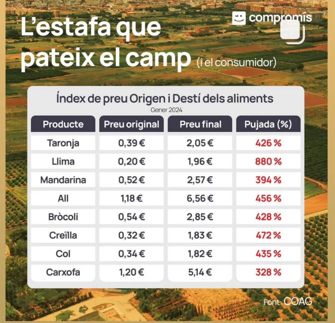 Jordi 🍊 🇵🇸 tweet media