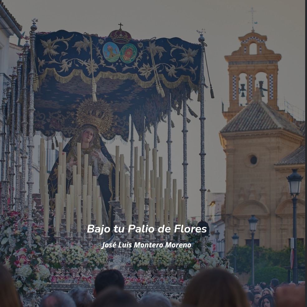 cdelamota's tweet photo. #Repertorio2024 🛑 | BAJO TU PALIO DE FLORES

Incorporamos "Bajo tu Palio de Flores" de José Luis Montero Moreno, dedicada a Nuestra Señora y Madre de los Dolores de la Hermandad  de Jesús Caído de Osuna.

#cdemota #suenalamota https://t.co/ncexrjQo1I