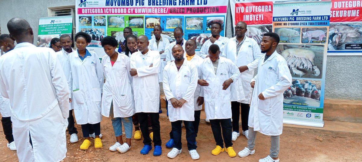 Dr_Laurien_'s tweet photo. 15 veterinary practitioners concluded 1st 🐖Swine Artificial #Insemination accredited training,worth 15 credit points as part of their Continuous Professional Development. The training was organized by @RwandaVets1 &amp; #CPD service provider @UmucyoVet.
@olivikam @NdorimanaC @WOAH https://t.co/YRYTYbooxs