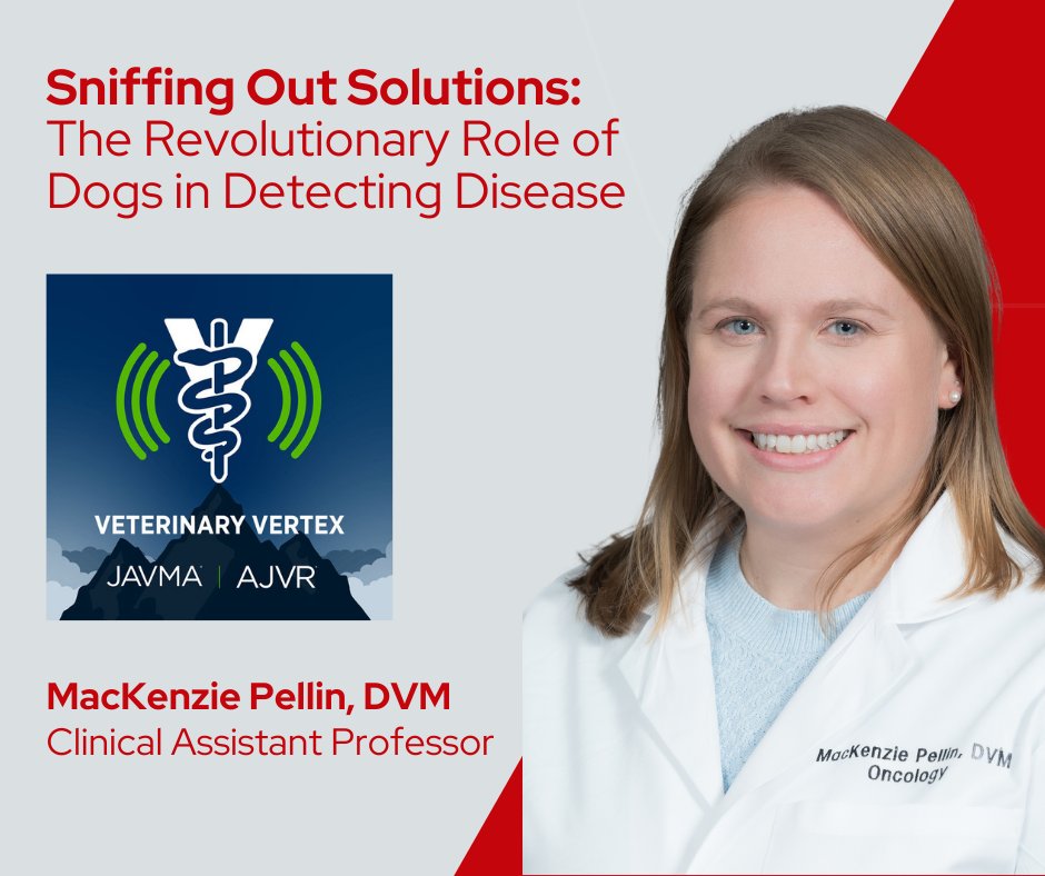 Discover the power of scent detection dogs! Dr. MacKenzie Pellin and other experts reveal how dogs can sniff out diseases like cancer & COVID-19 in the @AVMAJAVMA Veterinary Vertex podcast. buzzsprout.com/2047448/143999…