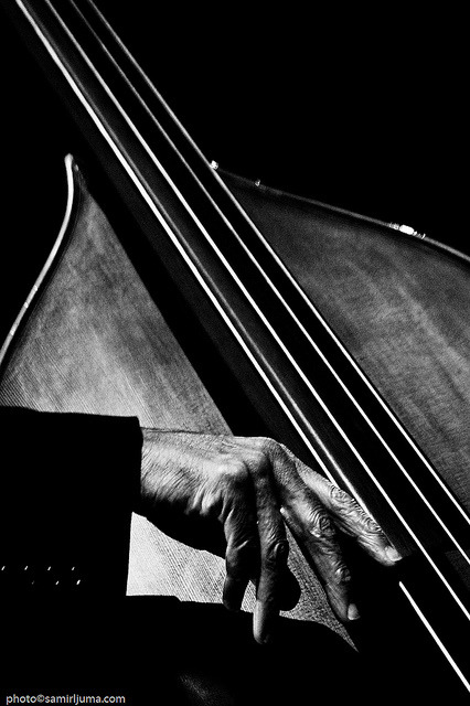 The hands of bassist Ron Carter, 
at the Skopje Jazz Festival,  2008,

 by Samir Ljuma 

#jazzphoto