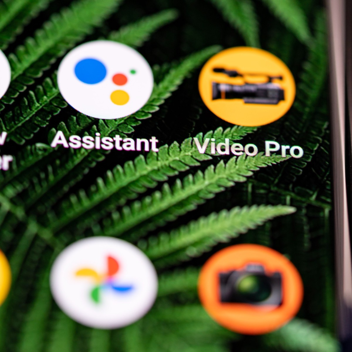 Get the most from the Video Pro app with our live streaming tips video​! Click the link to learn how. brnw.ch/21wGLK4 #SonyXperia