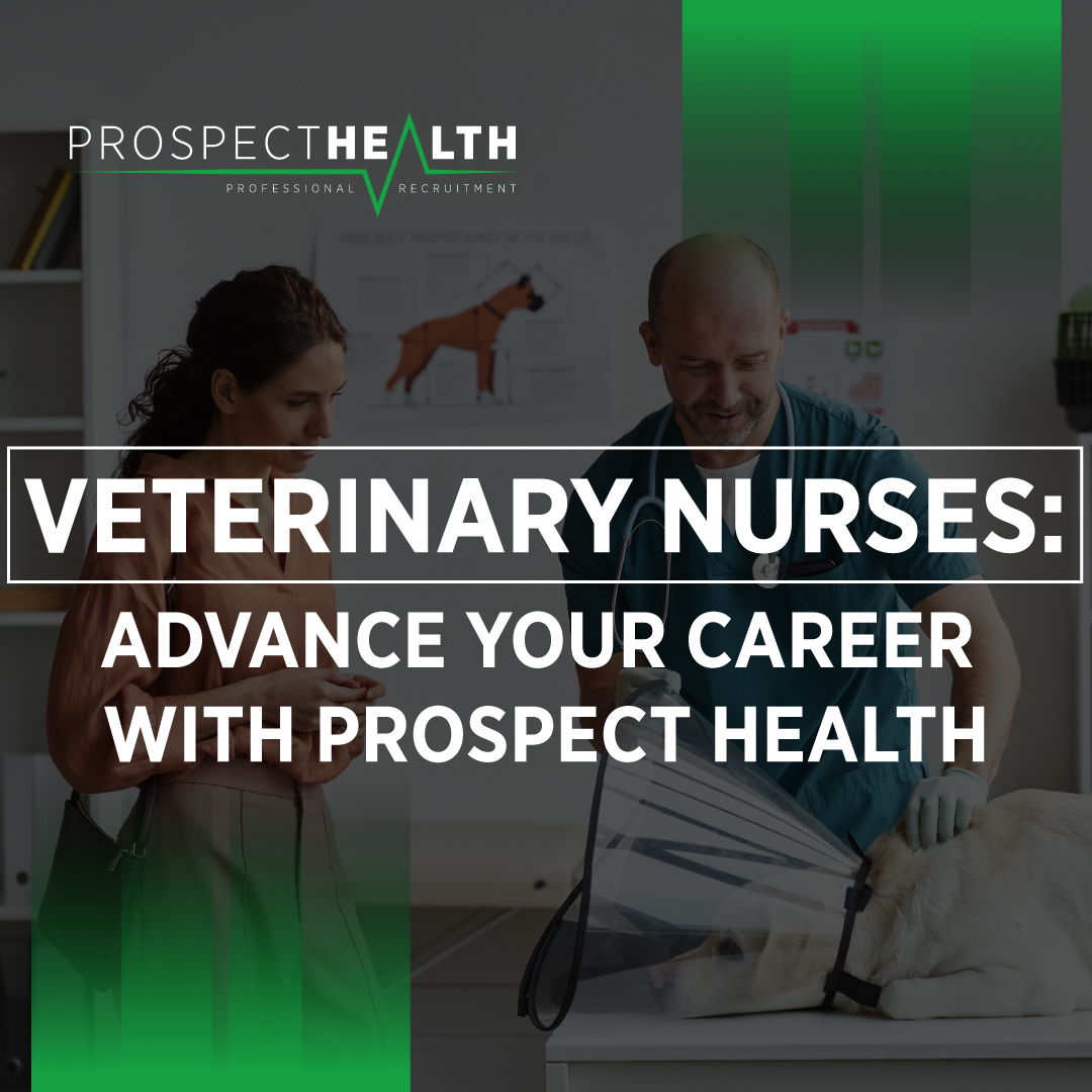 Prospect Health Veterinary tweet media