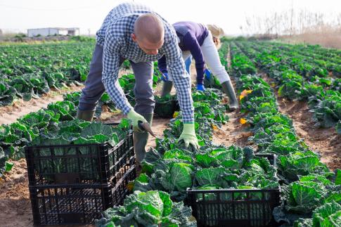 An in-person event will be held on Feb. 28, at the Iowa State University Extension and Outreach Webster County office in Fort Dodge, and a remote virtual event will be held on April 3, via Zoom.

extension.iastate.edu/dallas/produce…
