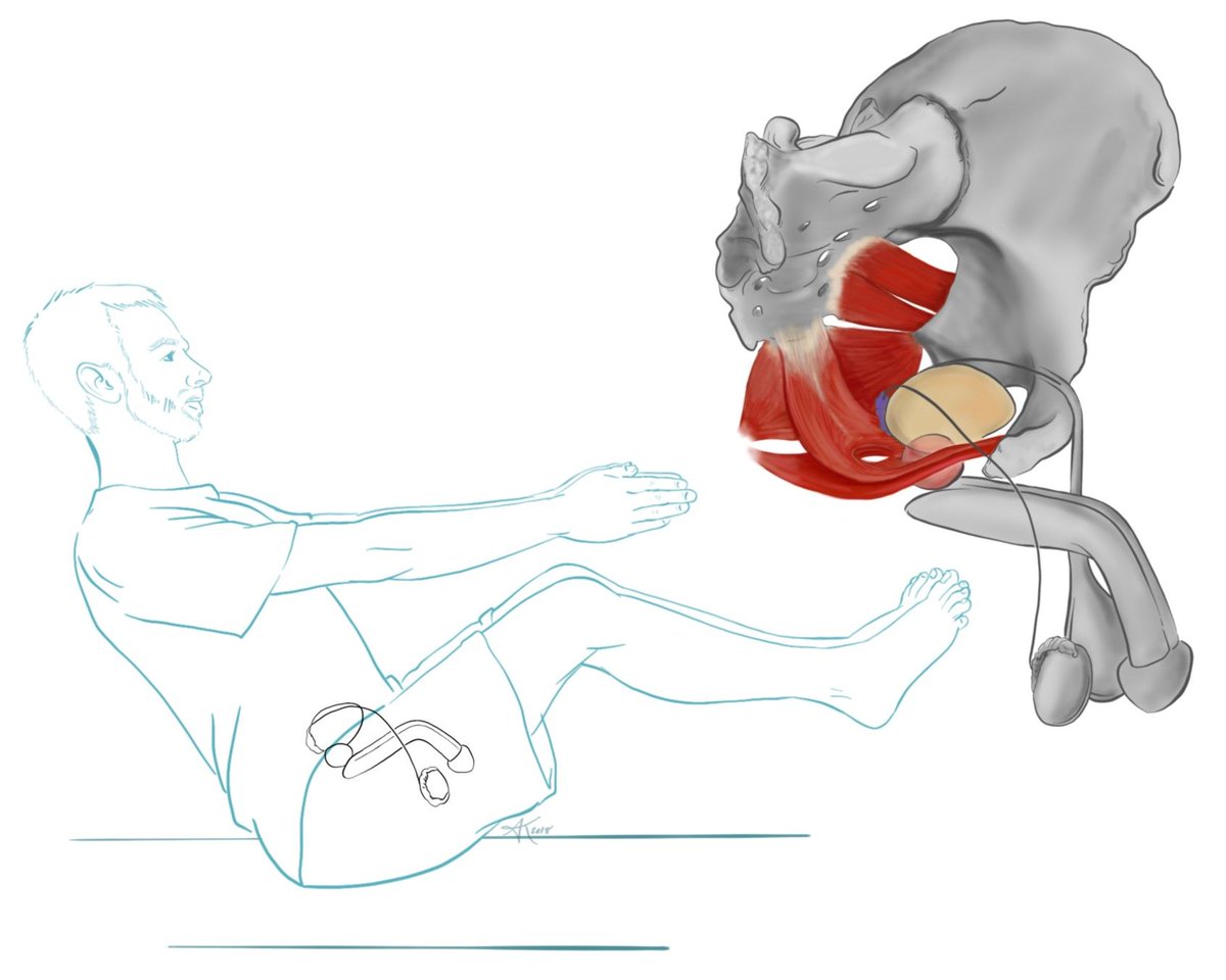 Medillustrates's tweet photo. Line illustrations by @encephaloCS as part of an 11-illustration series used in a certified Yoga Alliance - Yoga Teacher Training course.
Explore more work by Autumn Kulaga: https://t.co/sTljmDg9ka
#yogaposes #lineillustration #anatomy #anatomicalillustration #fitness #sciart https://t.co/lhBmZmZg5J