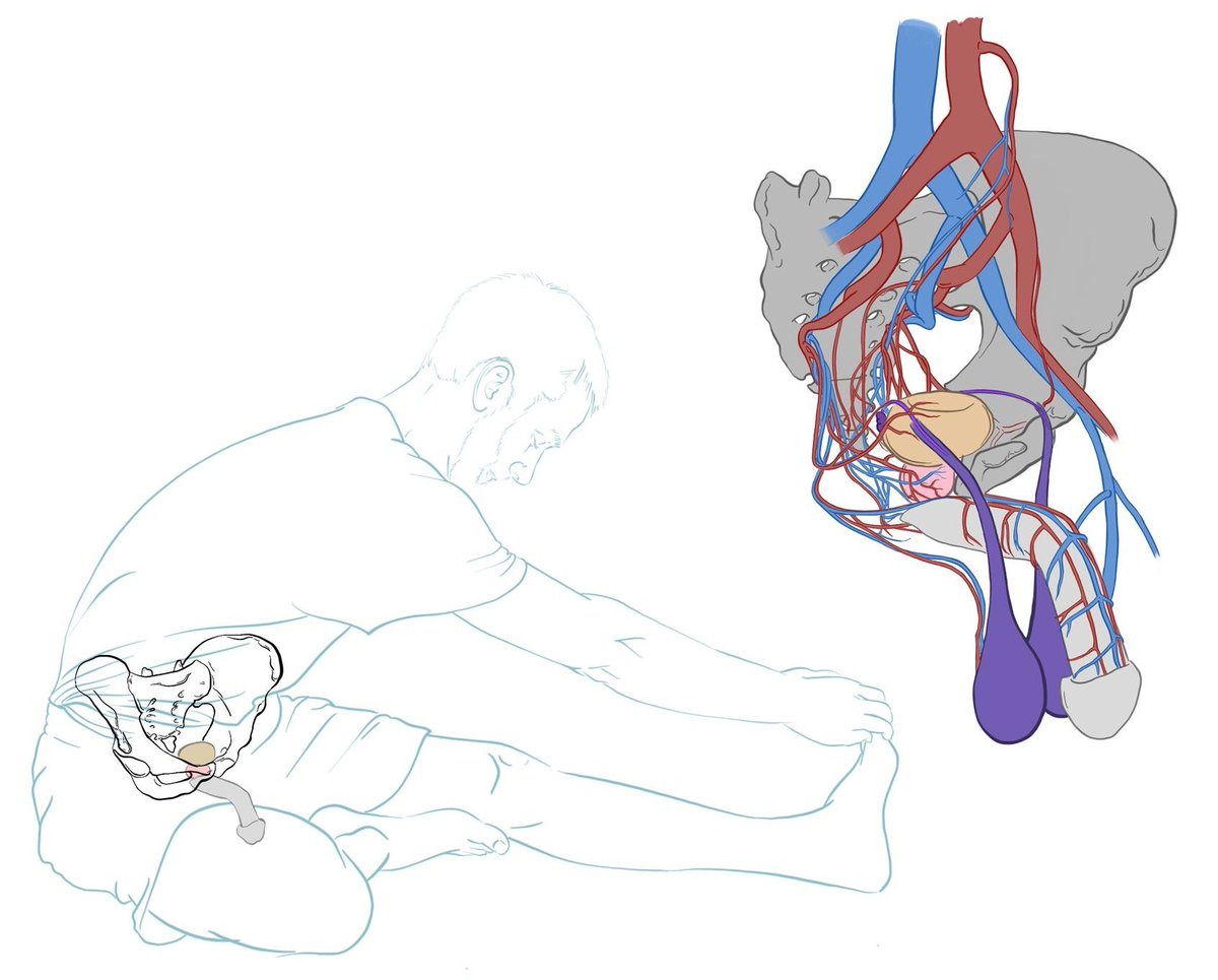 Medillustrates's tweet photo. Line illustrations by @encephaloCS as part of an 11-illustration series used in a certified Yoga Alliance - Yoga Teacher Training course.
Explore more work by Autumn Kulaga: https://t.co/sTljmDg9ka
#yogaposes #lineillustration #anatomy #anatomicalillustration #fitness #sciart https://t.co/lhBmZmZg5J