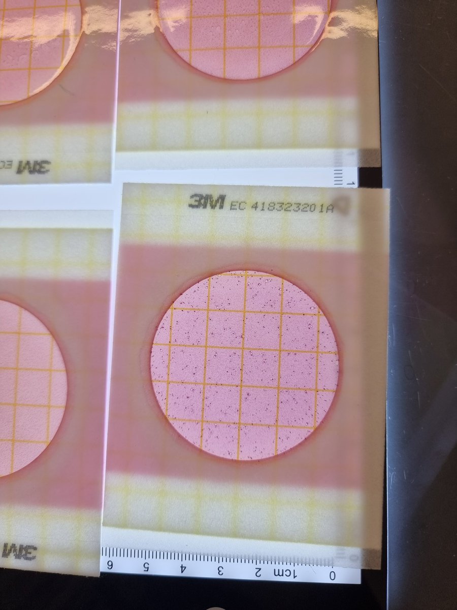 It was an honour to teach #CitizenScience and #ScienceLiteracy at <a href="/BardCollege/">Bard College</a> 2024. This programme gives students the tools to evaluate the scientific information that they encounter in their daily lives. Everyone should take it! 😁 Also, look at one of our cool coliform plates!