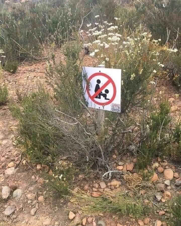 𝘾𝙤𝙧𝙧𝙞𝙙𝙤𝙨 & 𝘽𝙖𝙣𝙙𝙖𝙨 tweet media