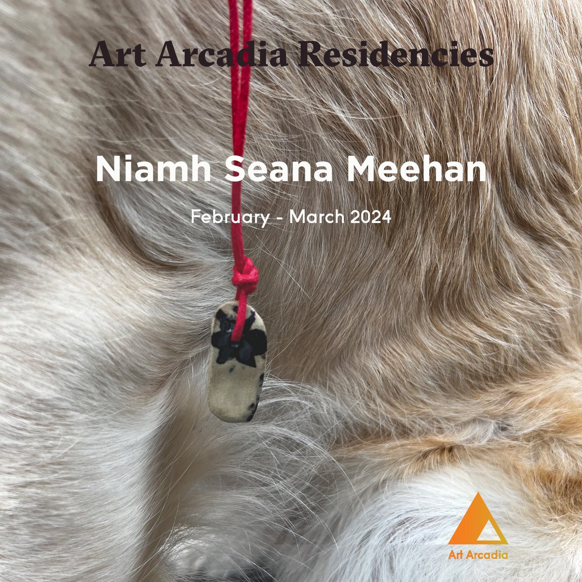 A big warm welcome to Niamh Seana Meehan our resident artist for February and March!
#artarcadia #artscouncilni #DCSDC #whatsonds #artistresidency #niamhseanameehan #ACNISupported #NationalLottery #ThanksToYou #artansm33 @niamhseanameehan @paola.bee <a href="/LottoGoodCauses/">National Lottery Good Causes</a>