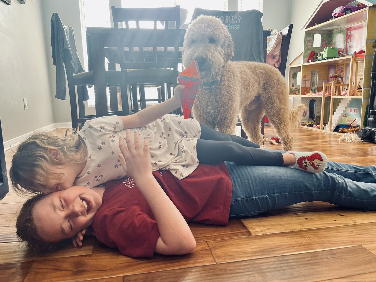 This.
This is why we homeschool.
🩷🧡
They share a bond built by hours every single day together learning, laughing, sometimes screaming 😆 , and loving each other! 
#homeschool #homeschoollife #girlmom 
#PrincessPeach  #Bunny #DustyTheDoodle @dad_lame