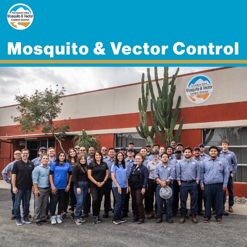 SGVMosquito's tweet photo. As a vector control district, we monitor and control mosquito-borne diseases in the San Gabriel Valley. #SGVmosquito