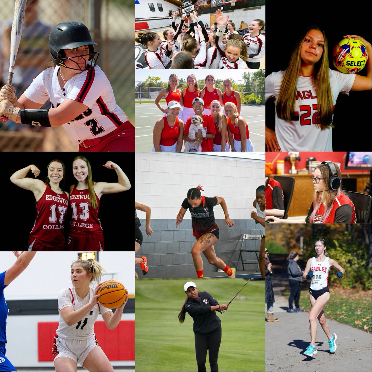 Happy National Girls and Women in Sports Day!

#NGWSD