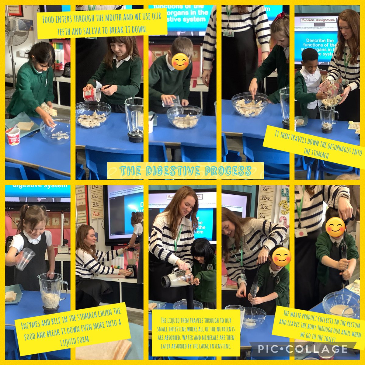 Today in Science we learned about the organs involved in the digestive process and how they function. Together we modelled each stage of digestion to help our understanding! #sjsbscience @DevelopExperts