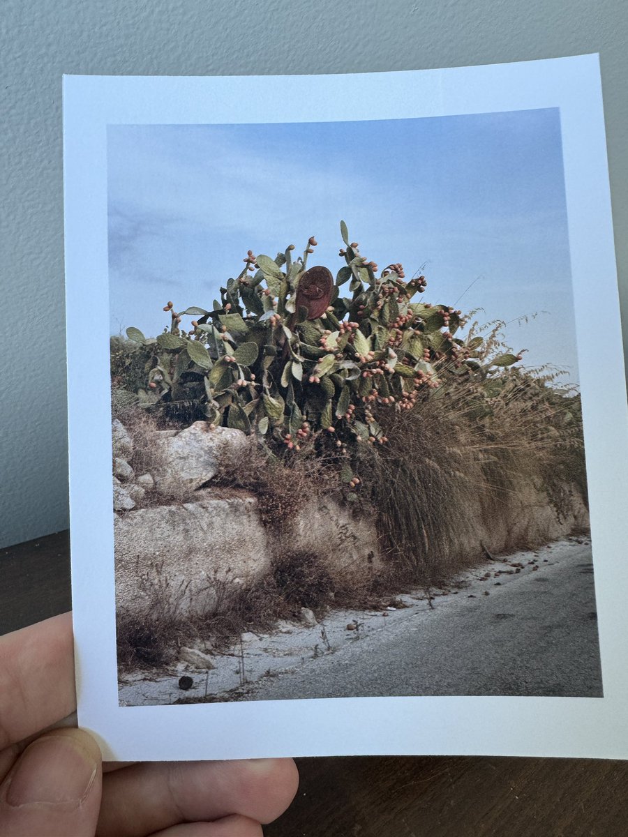 Very happy to receive this gorgeous small print all the way from Italy from friend <a href="/ducciok/">Valentino Bellini</a>! Thank you for the kind gift Valentino!!!