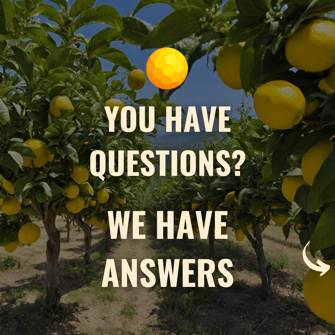 BergaMetNA's tweet image. We want to hear what you have to say! 👨‍⚕️👩‍⚕️

Ask your questions in the comment section below or feel free to reach out directly to us and we will be sure to answer questions as soon as possible!

#FAQ #frequentlyasked #frequentlyaskedquestions #medicalquestions #medicaleducation…