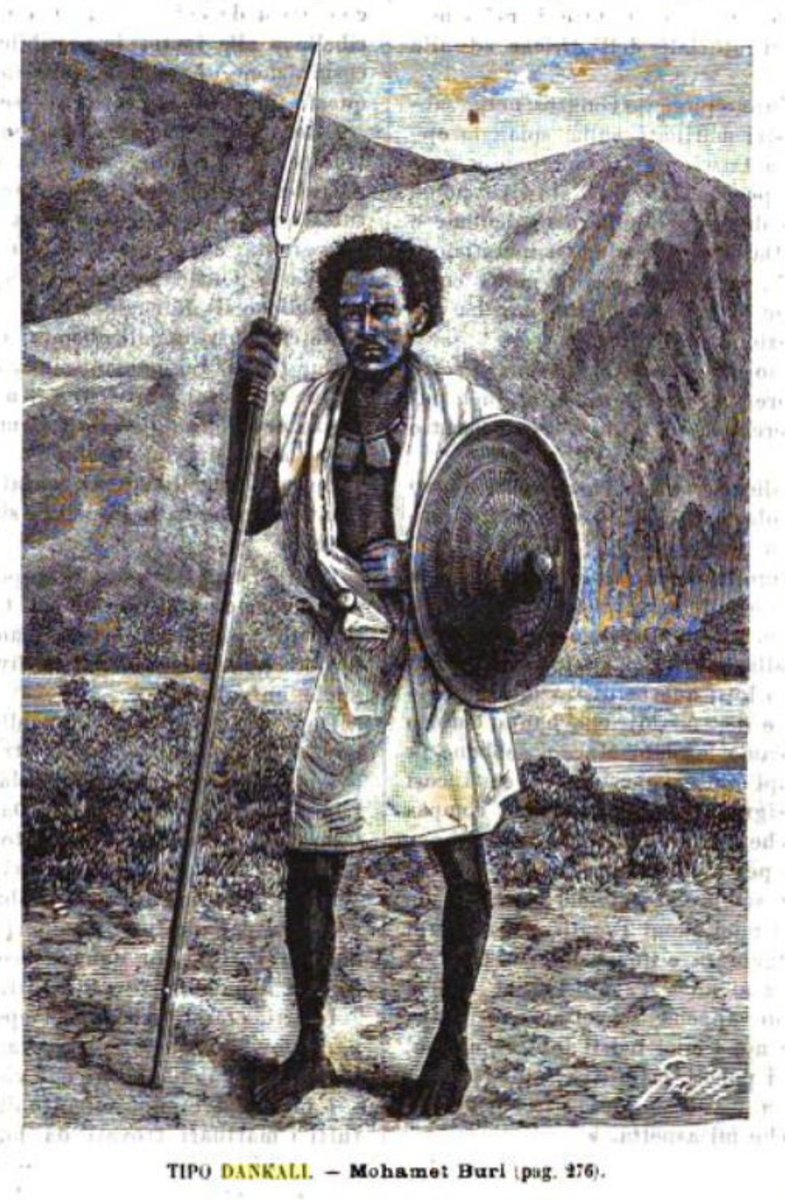 Dankali type - Mohamed Buri from Barra'asoli village on Dankali coast. 1882.

"The Dankali, as you can see from the portrait I present to you, is a handsome man, both for the regularity of his forms and for the liveliness of his gaze."