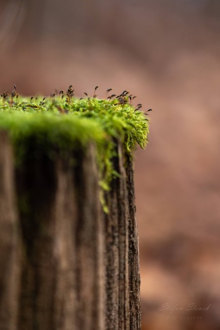 gary_PROM's tweet image. &quot;close to the abyss&quot;
#Canon #TwitterNaturePhotography #TwitterNatureCommunity