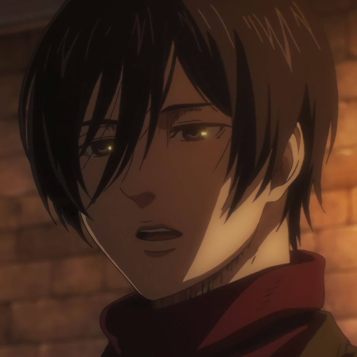 hourly mikasa (@hourly__mikasa) on Twitter photo 