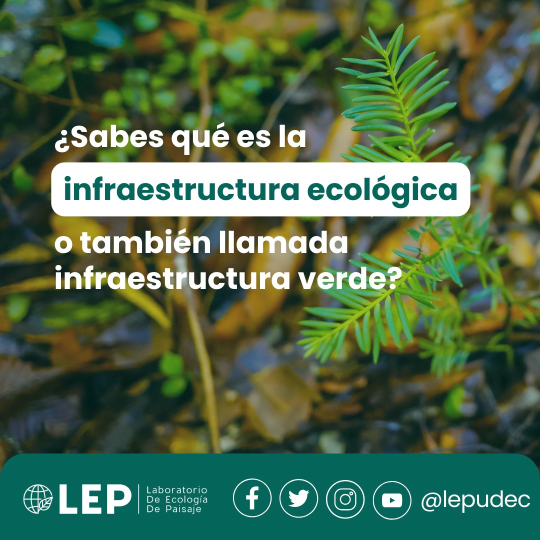 Laboratorio de Ecología de Paisaje UdeC tweet media