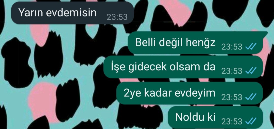 dcldggn's tweet photo. Tek derdi teyzesinin evde olması ve onunla vakit geçirmek isteyen canım yeğenim🩷 https://t.co/7Ojb9FkjBA