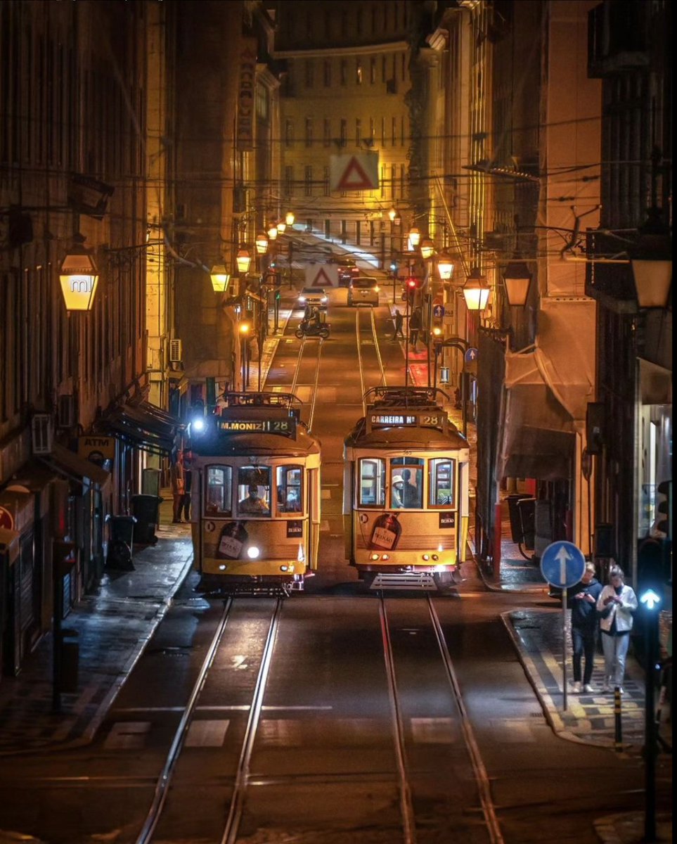 miloP1051344's tweet image. Evening... ✨️🧡