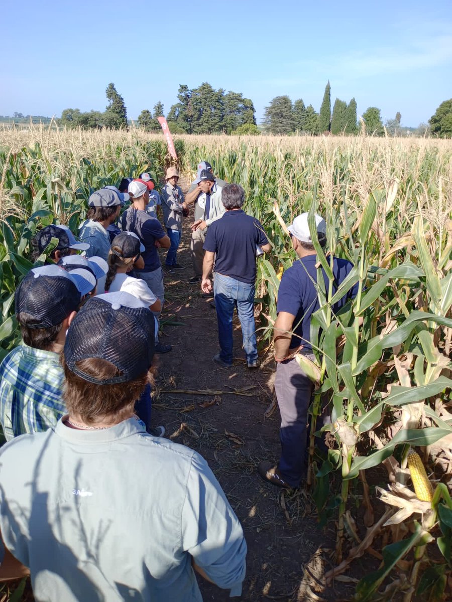 #CapacitaciónLideresLG
Con Lideres <a href="/lgsemillas/">LG SEMILLAS 🌽🌻🌾🌱</a> Zona Litoral compartimos info de  nuevos hib 🌽🌽
Gracias Andres Firpo,  Crescencia, lider  Victoria gran intercambio!!
Con <a href="/LeonelCarignano/">Leonel Carignano</a>  presentamos los 🌽🌽
<a href="/mauriciofugante/">Mauricio</a> 👍 en la organización
<a href="/3agro/">3agro</a> Uruguay <a href="/manu_colomar/">Manuel Colomar</a>