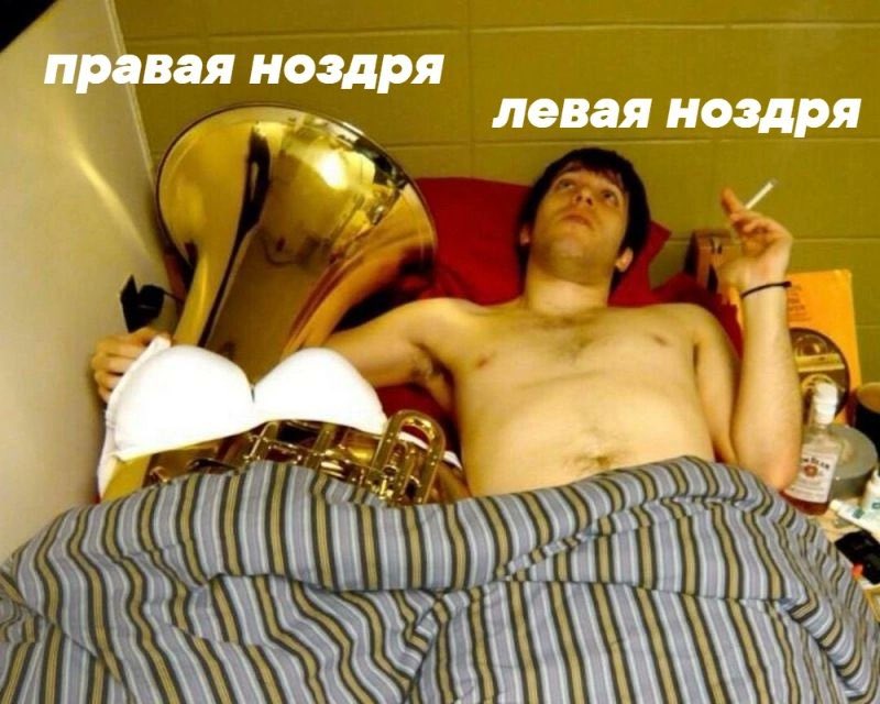 KateVerbitskay's tweet image. Вазомоторный ринит be like: