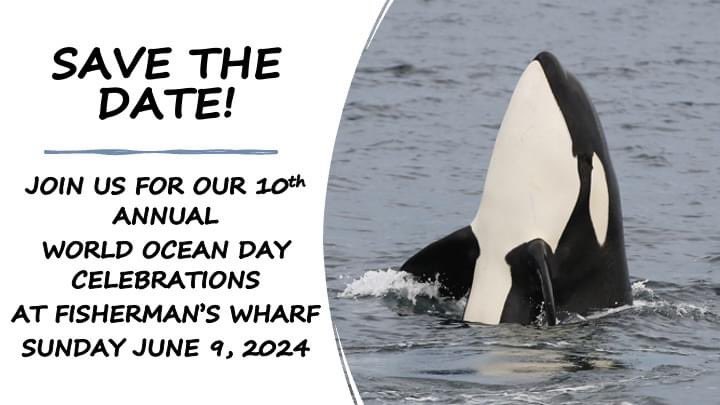 It's our 10th anniversary! Join us for our 10th annual World Ocean Day celebrations at Fisherman's Wharf on Sunday, June 9, 2024. See you there! 🐋

#WorldOceanDayYYJ #WorldOceanDay #oceanweekvictoria