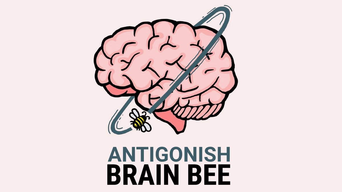 The second annual Antigonish Brain Bee is coming to StFX on Monday March 4! High school students with an interest in neuroscience can register now for this exciting on-campus event: stfx.ca/news/brain-bee