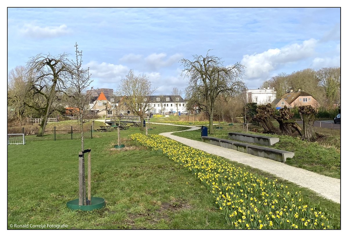 LeidscheRijnInBeeld tweet media