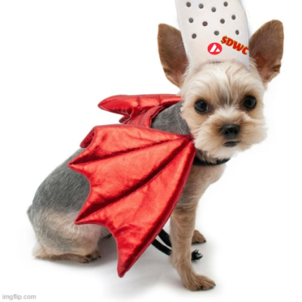 Dog is partnering up with <a href="/DragonFireAvax/">Dragon Fire Avax</a>!

$DRGN is a community support token, that will automatically burn multiple meme coins including $DWC.  launching soon on Avax

#cultureonavax