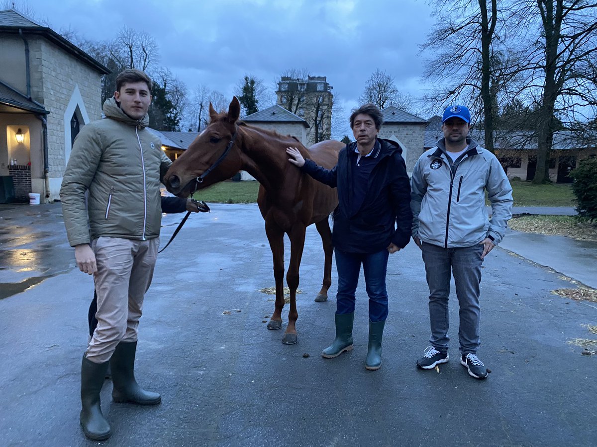 Ecurie Vivaldi tweet media