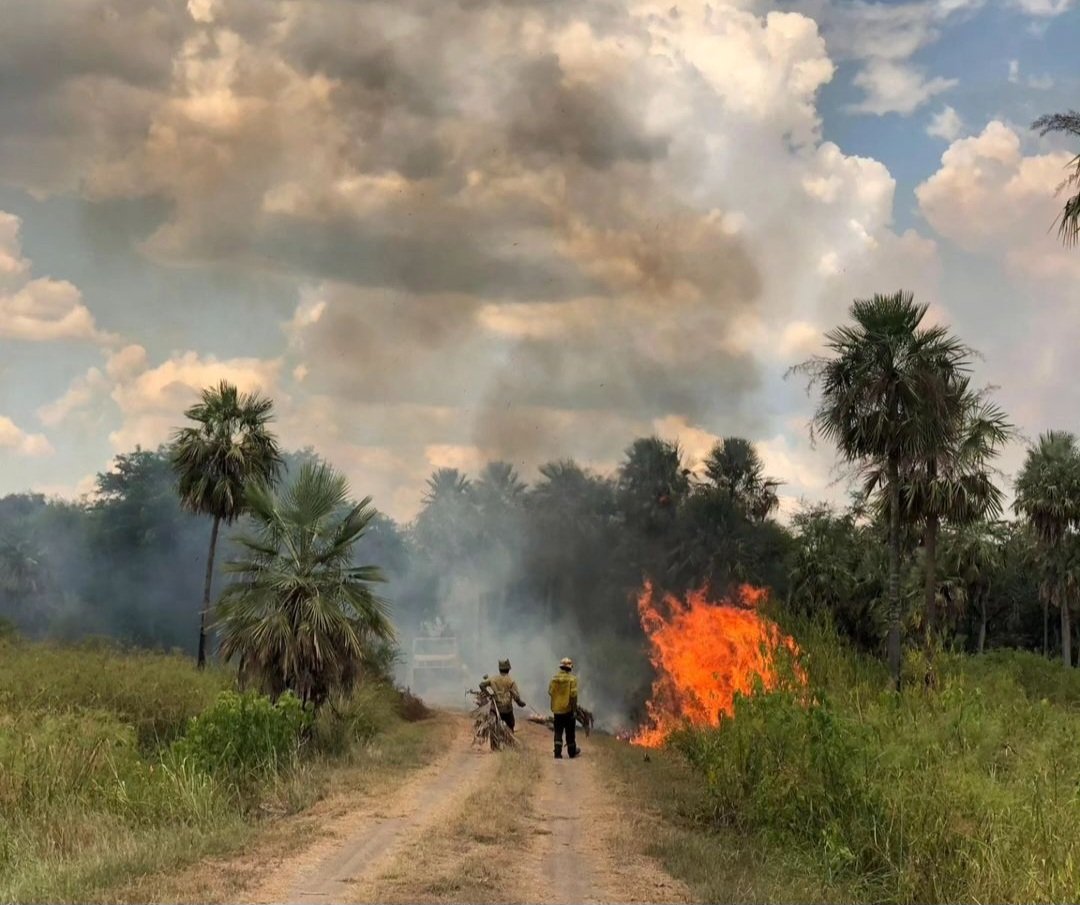 hernangiardini's tweet image. Incendio forestal en el Parque Nacional Río Pilcomayo, Formosa. 

Se cree intencional. Afecta bosques nativos con palmares y pastizales.

Precisamos más brigadistas e infraestructura en todo el país. Y penalizar la destrucción de bosques