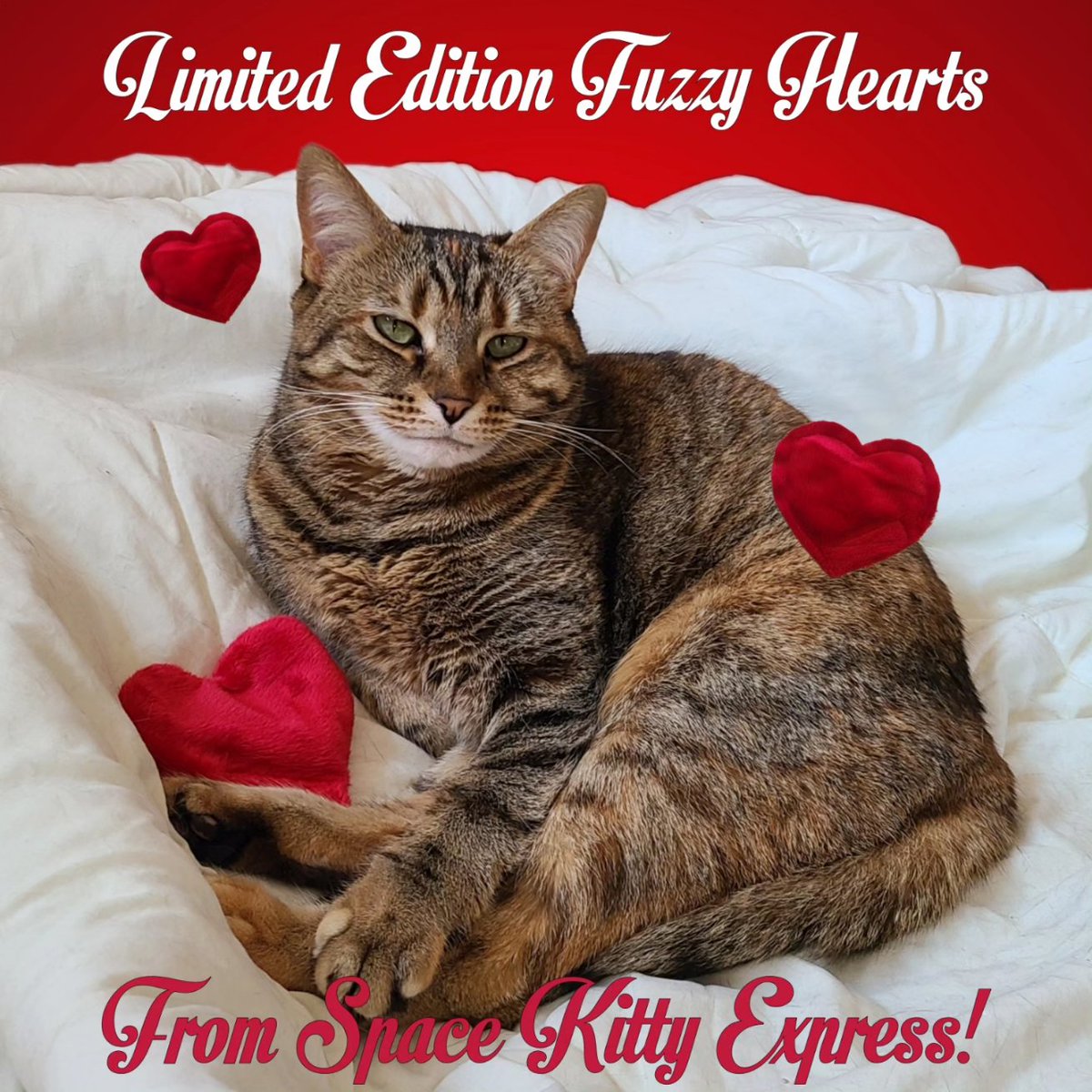 Did you get a gift for your little Meowlintine? How about one of our limited edition fuzzy hearts?! These are handmade with love and come filled with the herb of your choice! Find them at spacekittyexpress.com 😽❤️ I hope you all have a happy Valentine's day! #shopsmall #cats