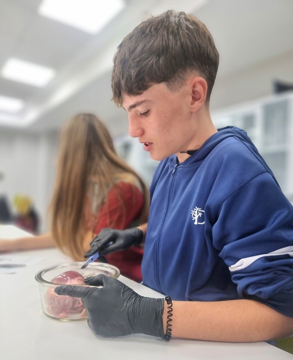 🔬💡 ¡El poder del aprendizaje experiencial!

💪🔍Nos hemos puesto las batas de científicos y hemos desentrañado los secretos del corazón humano, realizando una emocionante disección para entender su estructura y funcionamiento ❤️

 #AprendizajeExperiencial #CienciaDivertida